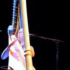 Joanna Newsom in Zürich.