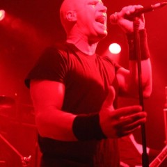 David White