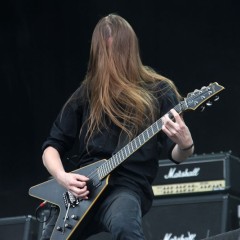 Twan van Geel