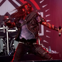 Warlord Nygård