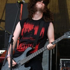 Alestorm