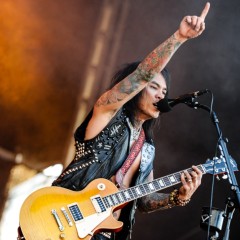 Stevie D.