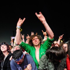 Bullet-Fans.