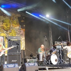 Dinosaur Jr.