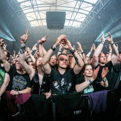 Fans.