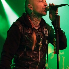 Backyard Babies.