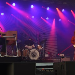 DeWolff