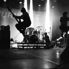 Fly again.