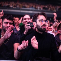 Phoenix-Fans.