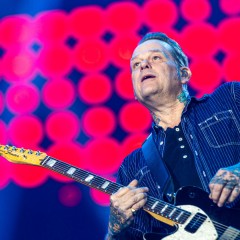 Die Toten Hosen.
