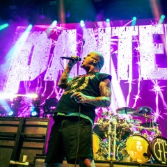 Pantera in Berlin.