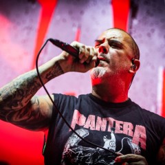 Pantera in Berlin.