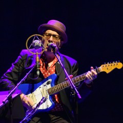 Elvis Costello.