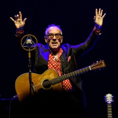 Elvis Costello.