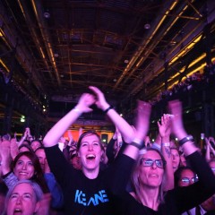 Fans.