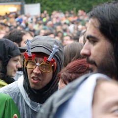 Ein wahrer Fan.