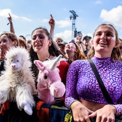 Fans.