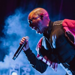 Skunk Anansie.