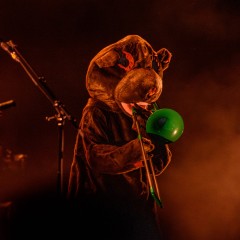 The Wombats.