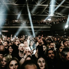 Fans.