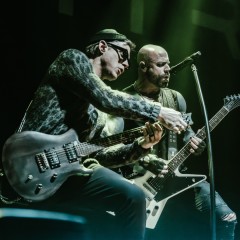 Daughtry.