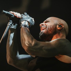 Daughtry.