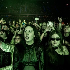 Fans.