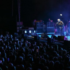Morrissey.
