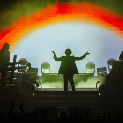 Pulp.