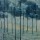 Desire Lines