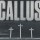 Callus