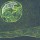 Superorganism