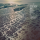 Shore