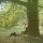 Plastic Ono Band - The Ultimate Collection