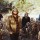 The Black Angels