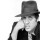 Adriano Celentano