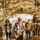 Dinosaur Jr.