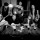 Dropkick Murphys