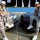 EPMD