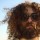 The Gaslamp Killer