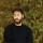 Gold Panda