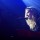 Gemma Hayes