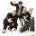 Hilltop Hoods