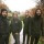 Junius