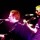 Levellers