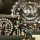 W.A.S.P.