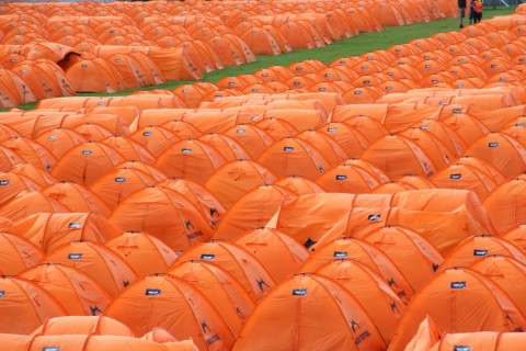 Orange Feeling.