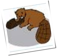Blues-Beaver