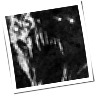 AgainstTheOds