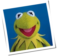 Lauter Lauter